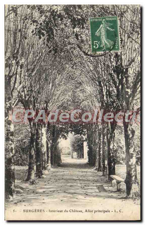 CPA Surgeres Interieur Du Chateau Allee Principale