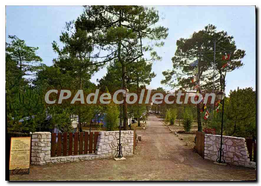 CPSM Camping Bonne Anse Plage La Palmyre Les Mathes
