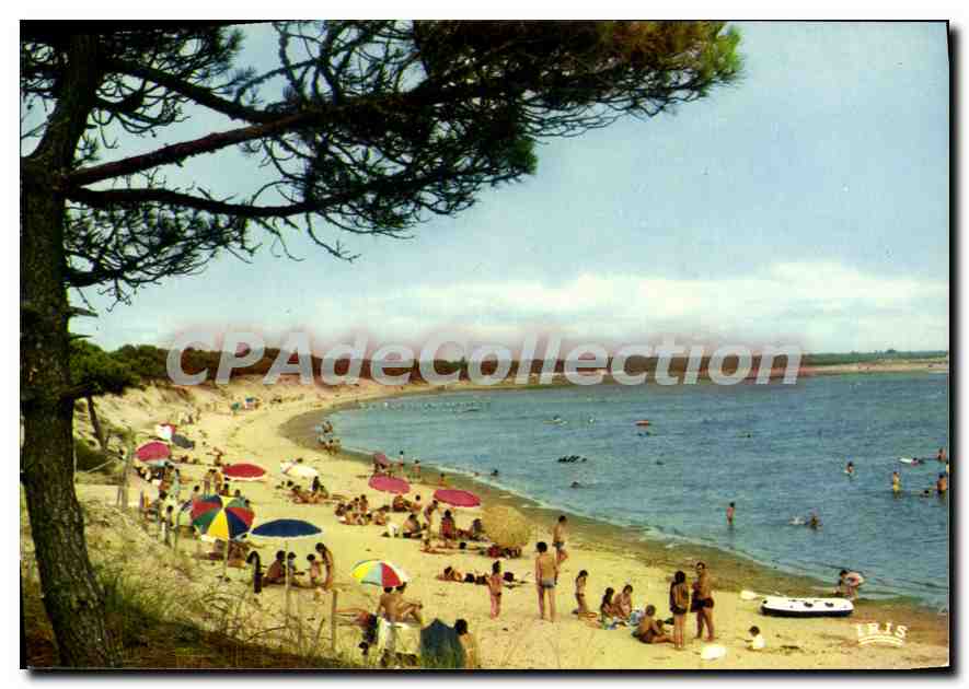 La Palmyre (Charente-Maritime) — La Plage de Bonne Anse — Éditions Panazol