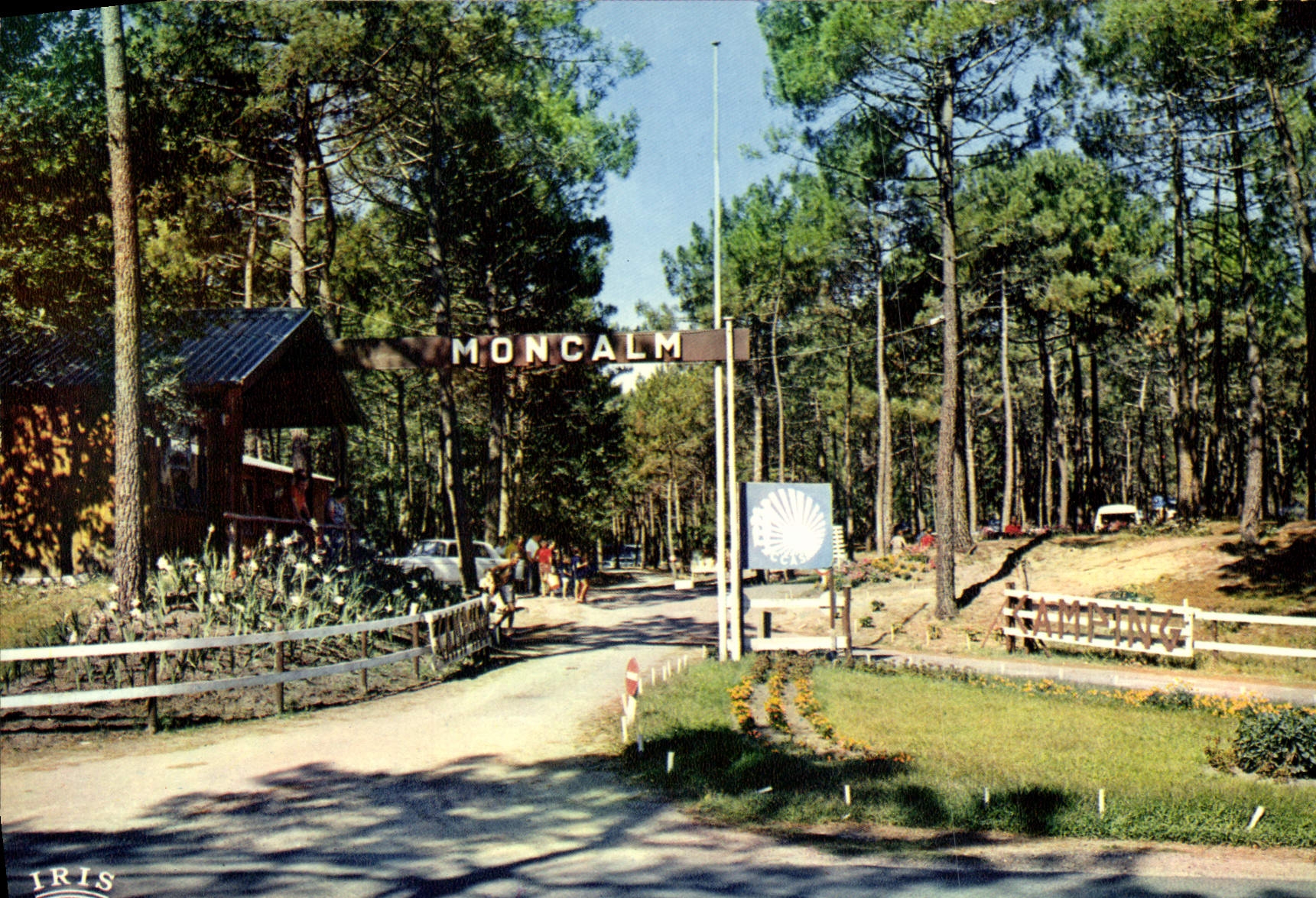 CPSM La Palmyre Village Moncalm