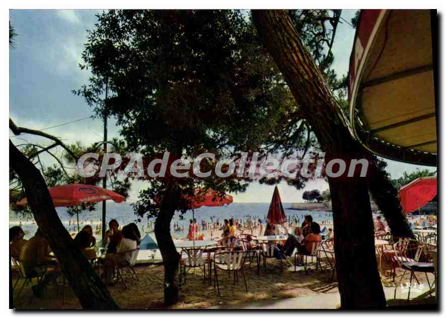 CPSM Vaux Sur Mer Charente Maritime La Plage De Nauzan Et La Potiniere