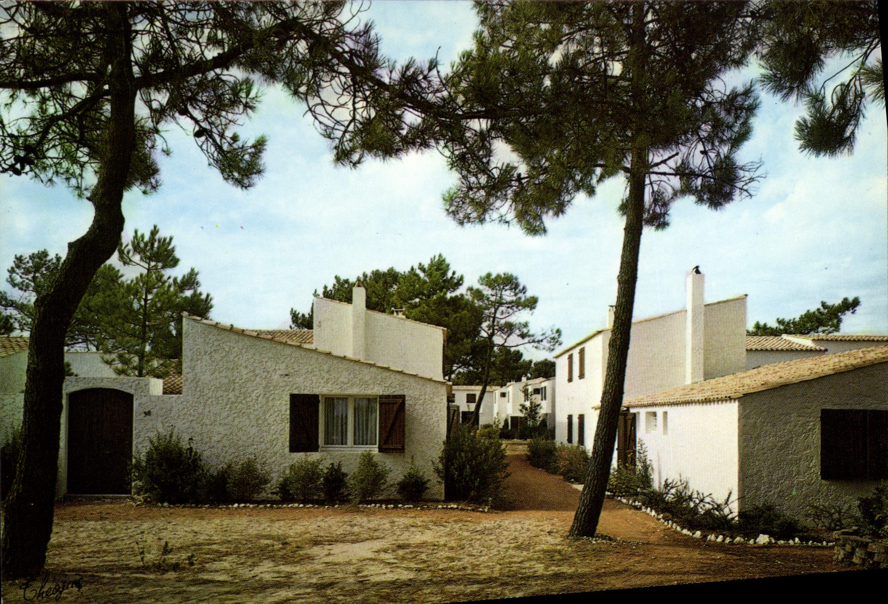 CPSM La Palmyre Les Tremieres