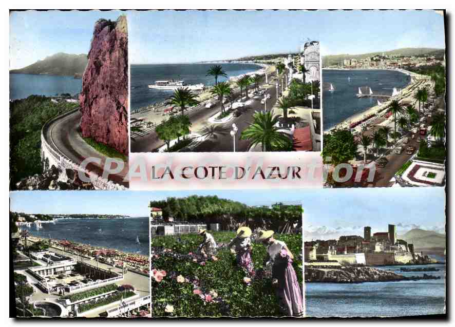 CPSM Esterel Cap Roux Nice Cannes Juan Les Pins Cueillette Des Roses Antibes