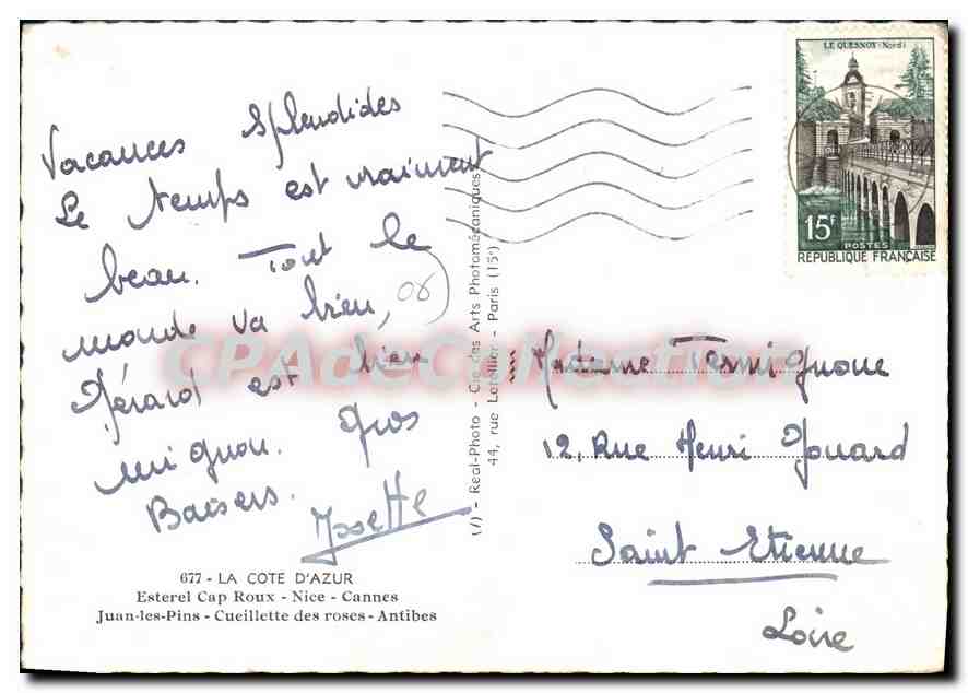 CPSM Esterel Cap Roux Nice Cannes Juan Les Pins Cueillette Des Roses Antibes — Verso