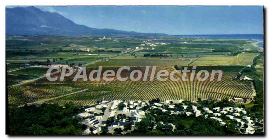 CPSM Alistro Corsicana Foret