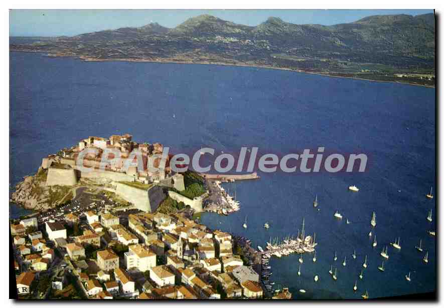 Calvi — Vue partielle de la Ville et la Citadelle — Editions "La Citadelle"