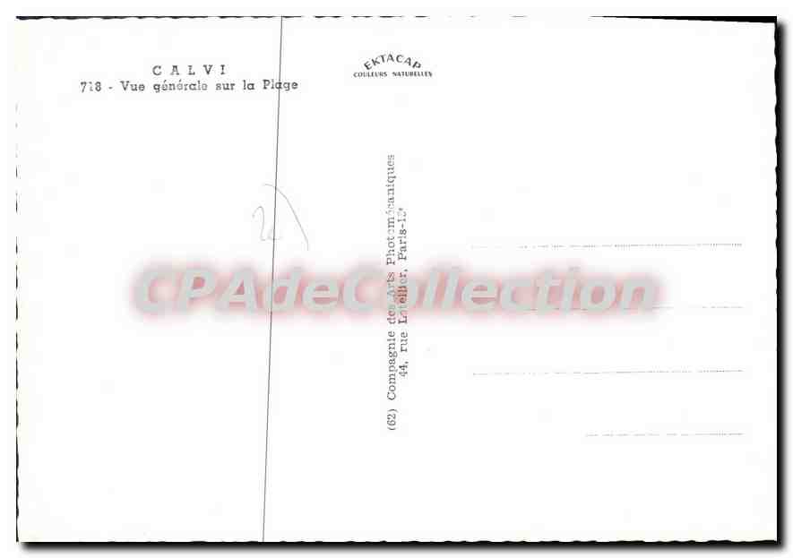 CPSM Calvi Vue Generale Sur La Plage — Rückseite
