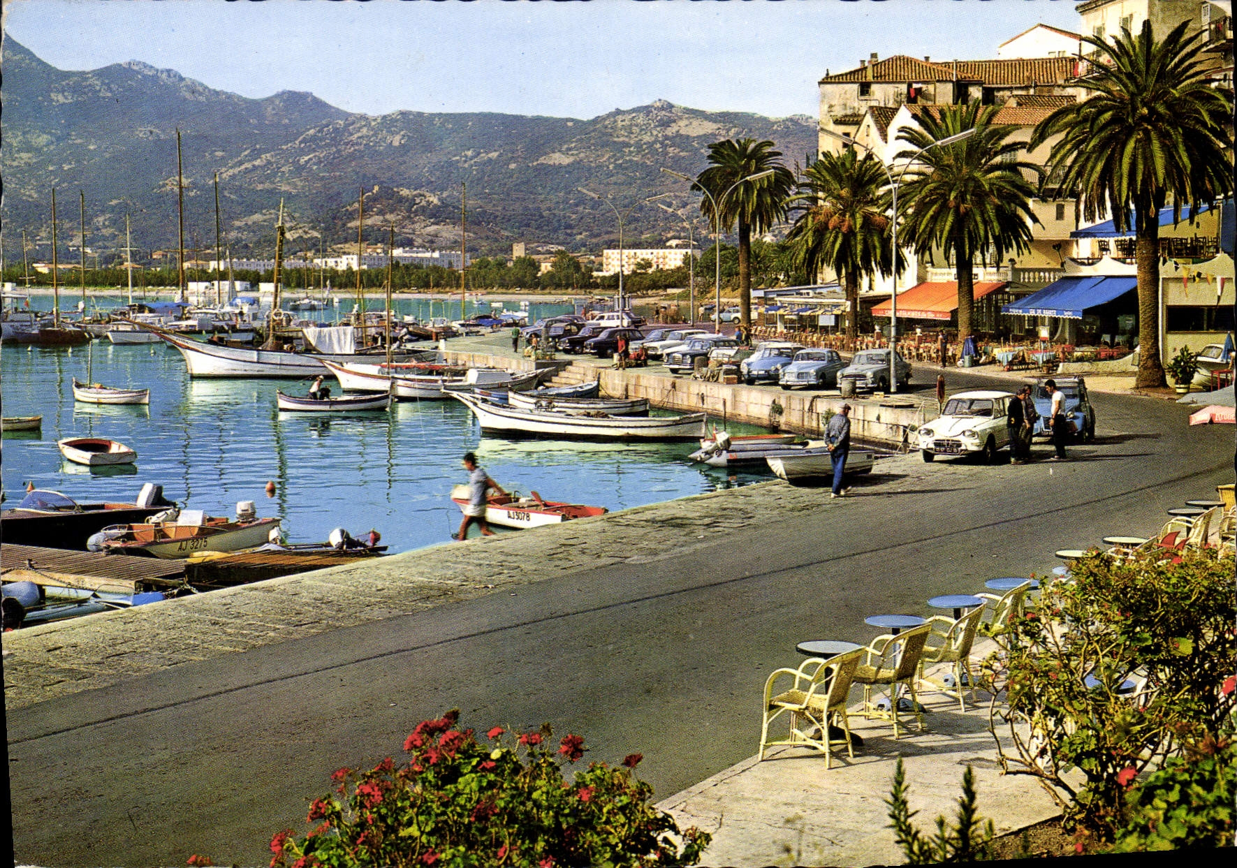 Calvi — Le Port de plaisance — Combière Imprimeur