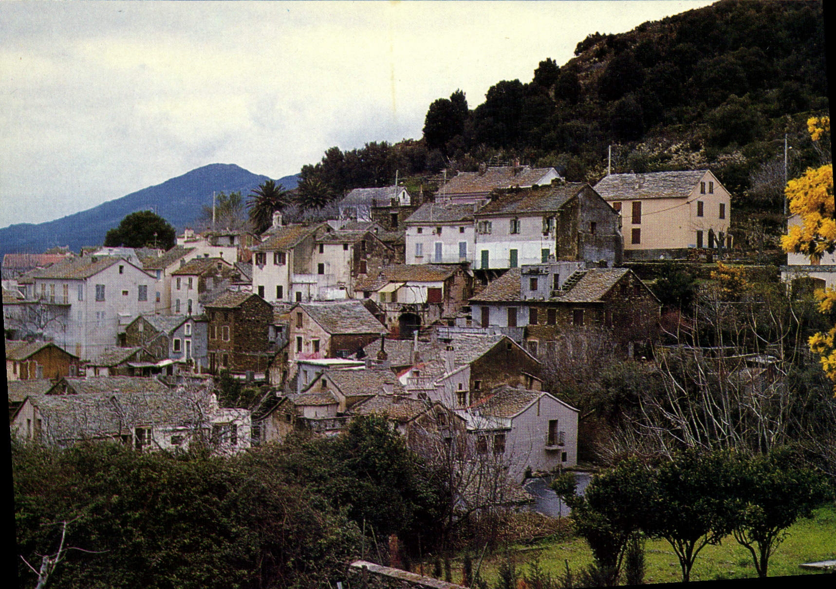 Village de Cap Corse — vue panoramique — Société d'Apennese de Diffusion, Cap Corse - Anverso