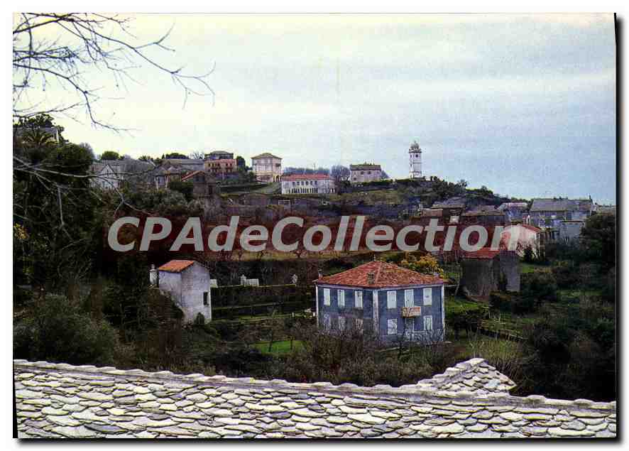 CPSM Cap Corse Canari 