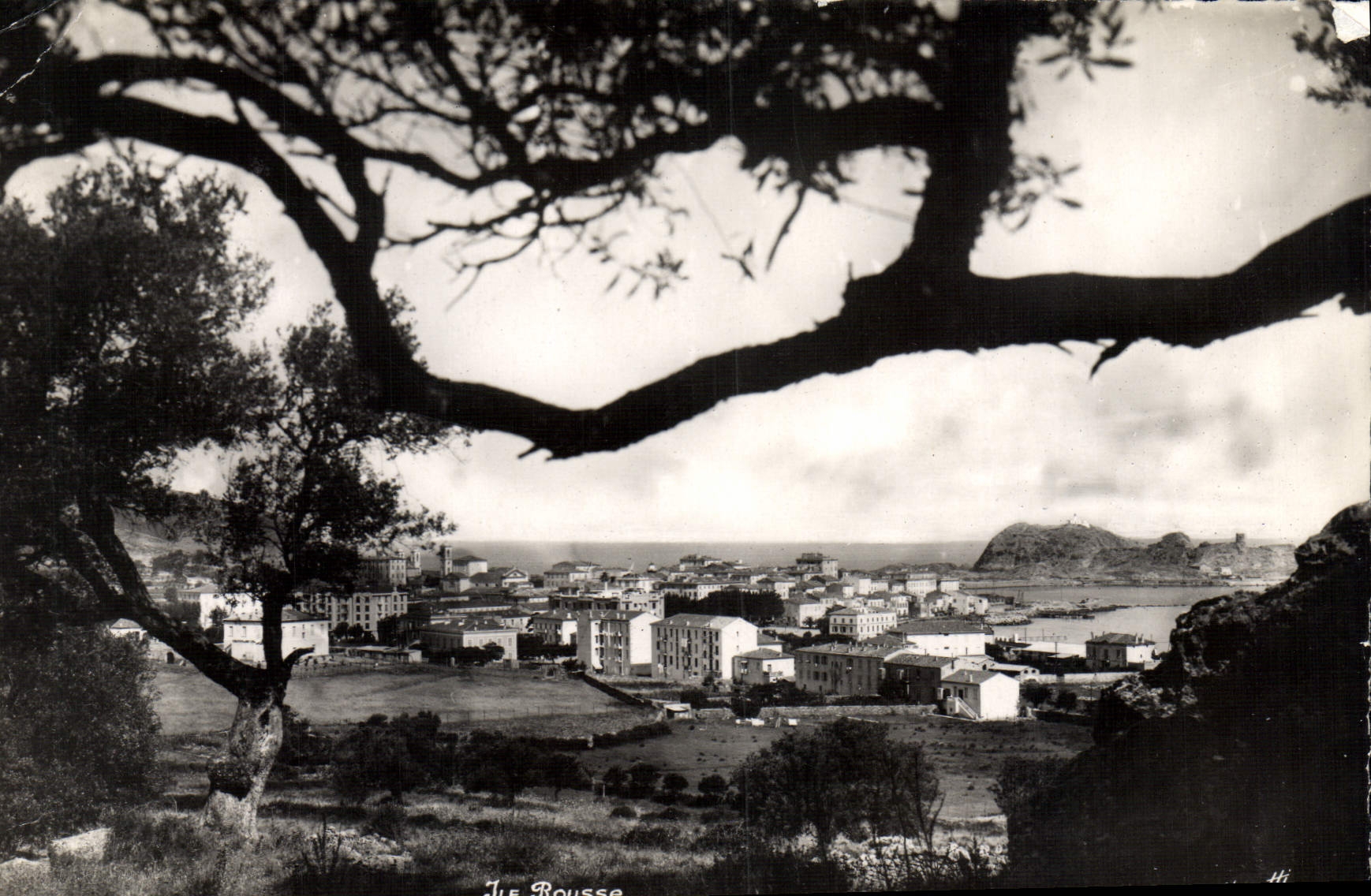 CPSM Ile Rousse