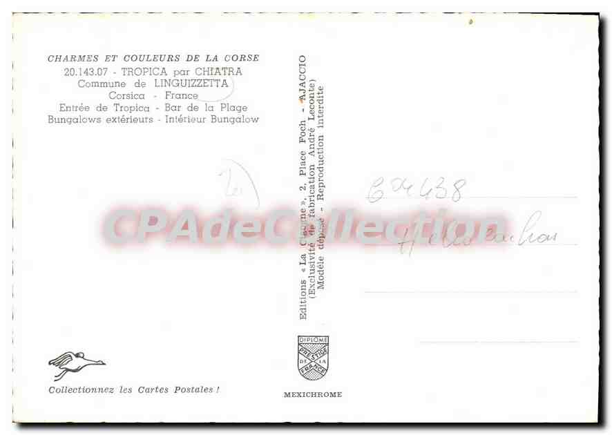 CPSM Tropica Par Chiatra Commune De Linguizzetta — Verso