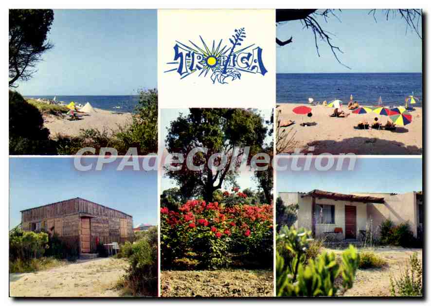 CPSM Tropica Par Chiatra Commune De Linguizetta