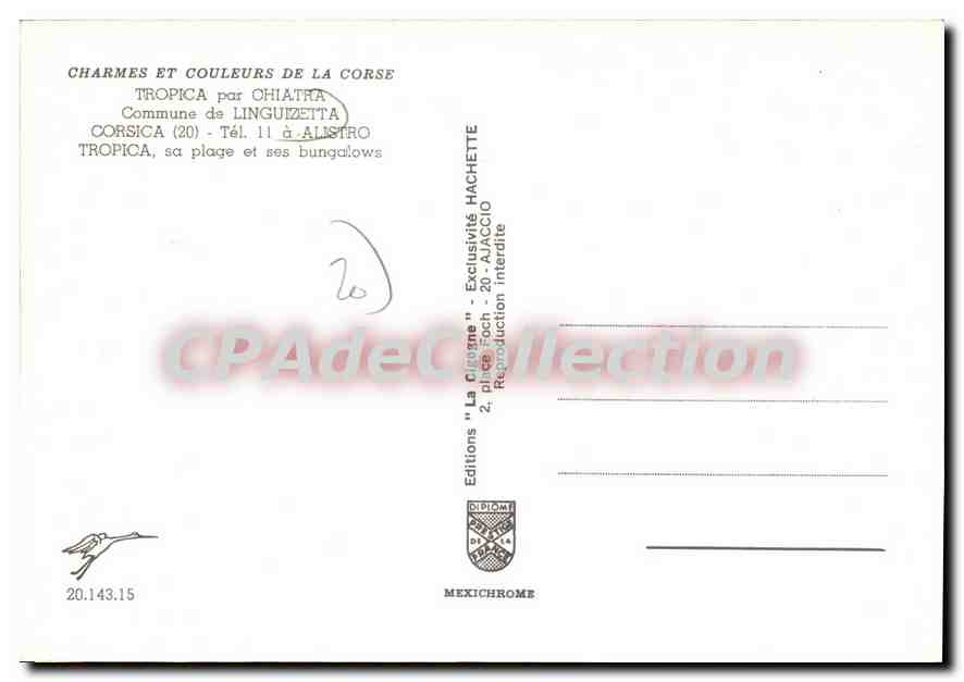 CPSM Tropica Par Chiatra Commune De Linguizetta — Verso