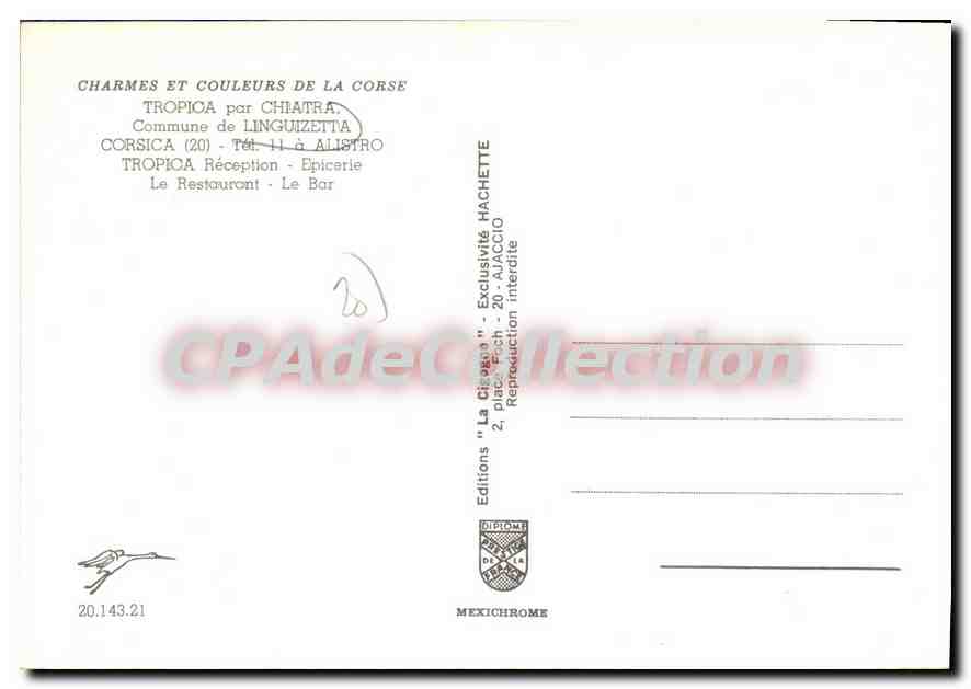 CPSM Tropica Par Chiatra Commune De Linguizetta — Verso