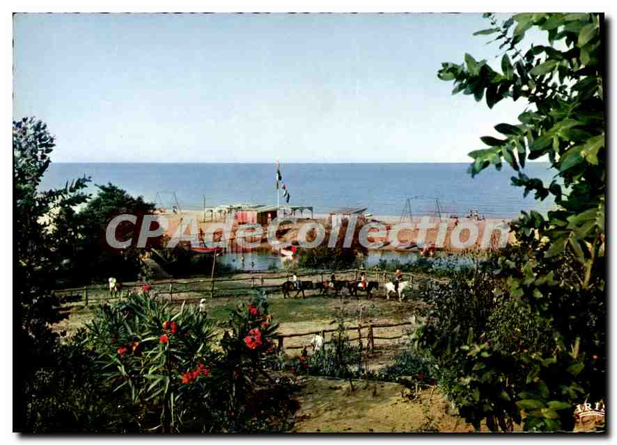 CPSM Linguizetta Bravona Manege Et La Plage