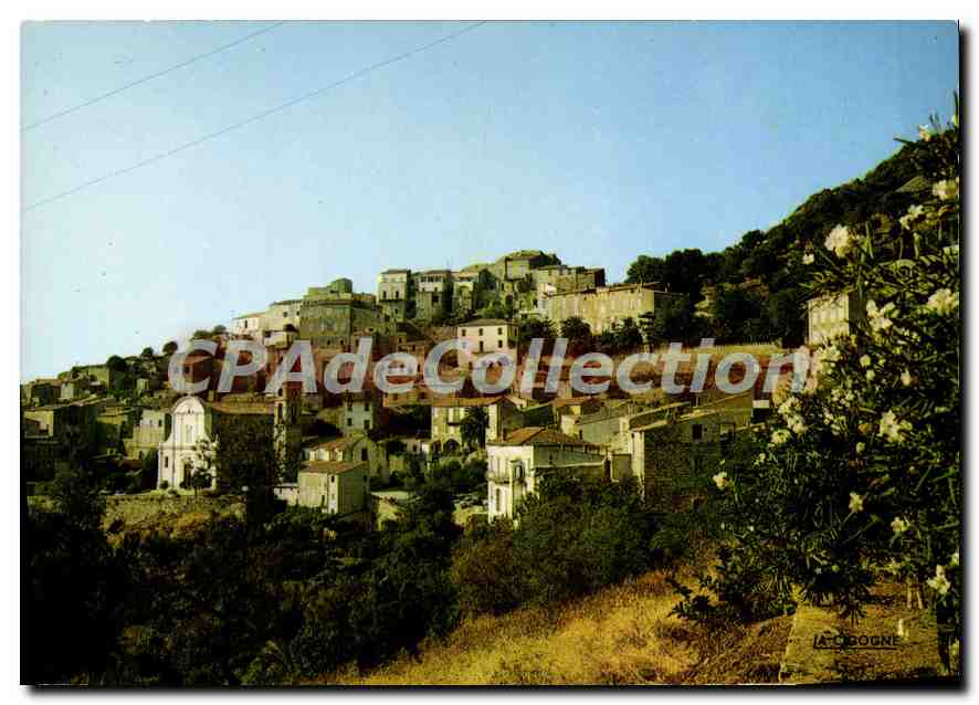 CPSM Lumio Village De La Balagne Tabacs Journaux Falcucci