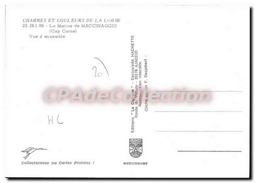 CPSM Maccinaggio La Marine De Vue D'Ensemble — Verso