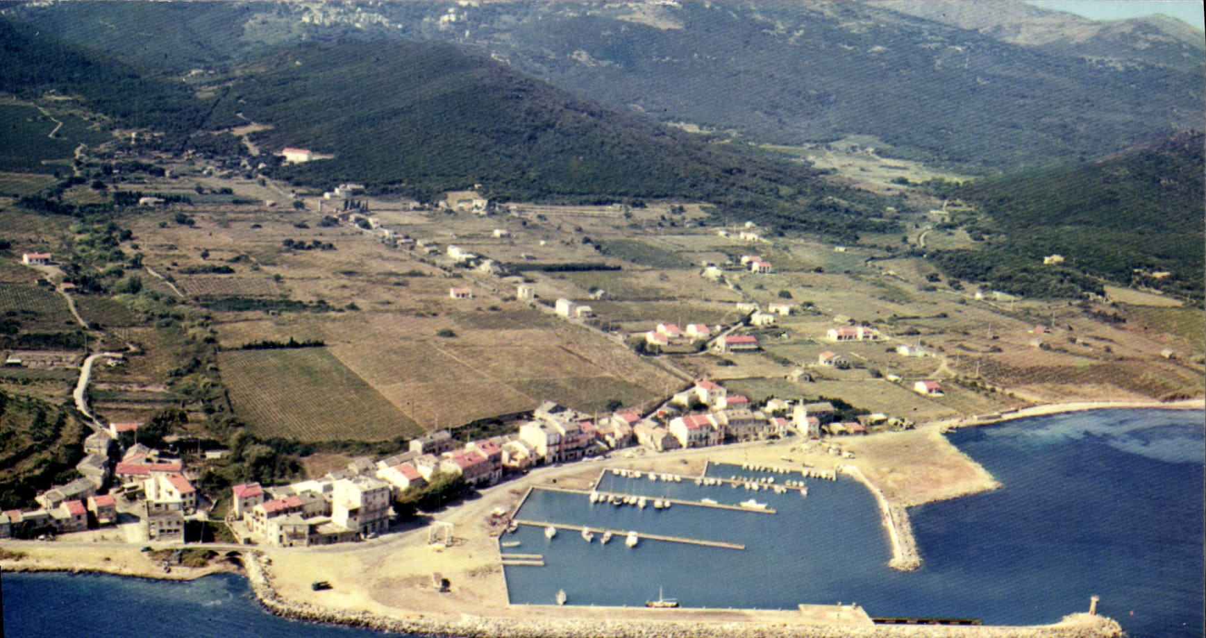 CPSM Maccinaggio Le Port De Plaisance