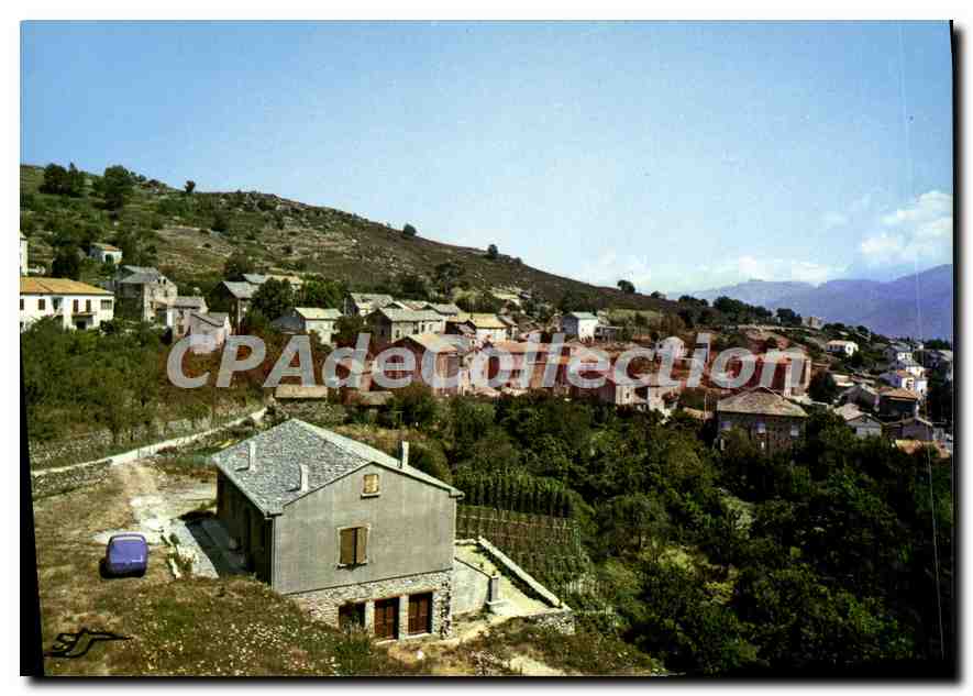 CPSM Murato Vue Generale Du Village St Jean Cliche Particulier Murati
