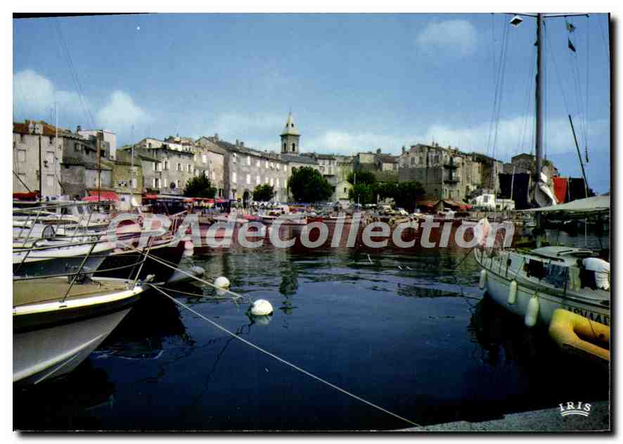 CPSM Saint Florent Navires De Plaisance A Quai