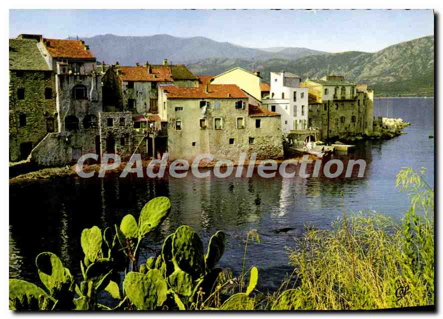 CPSM Saint Florent La Vieille Ville