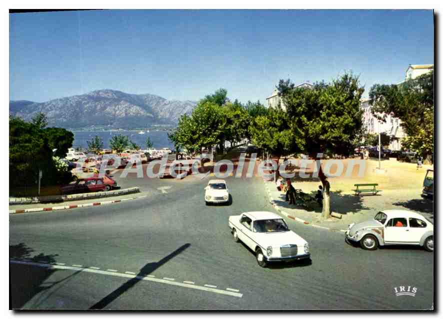 Saint-Florent — La place principale, carrefour touristique — Editions "La Corse" n°20.298.41