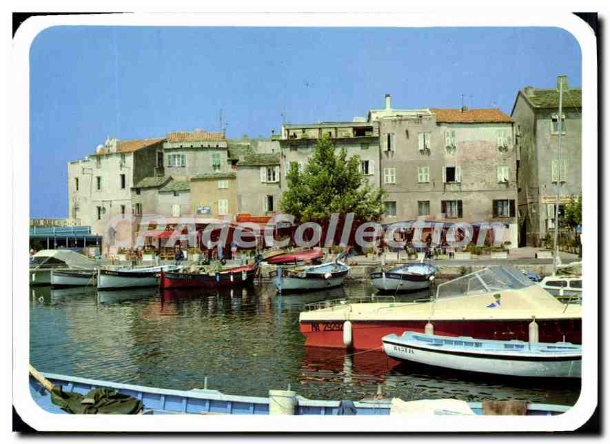 Saint-Florent — Vue partielle de la ville et du port — S.A.D. Route du Vieux 20178 Ajaccio