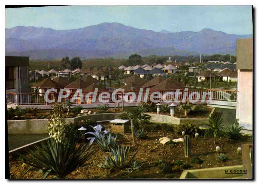 CPA Taglio Isolaccio Centre De Vacances De Loisirs Et De Repos Vue Generale Depuis Le Jardin mexicai