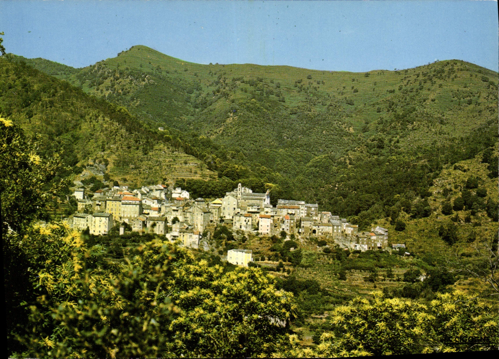 Vescovato (Corse) — Vue générale — Editions « LA CIGOGNE »