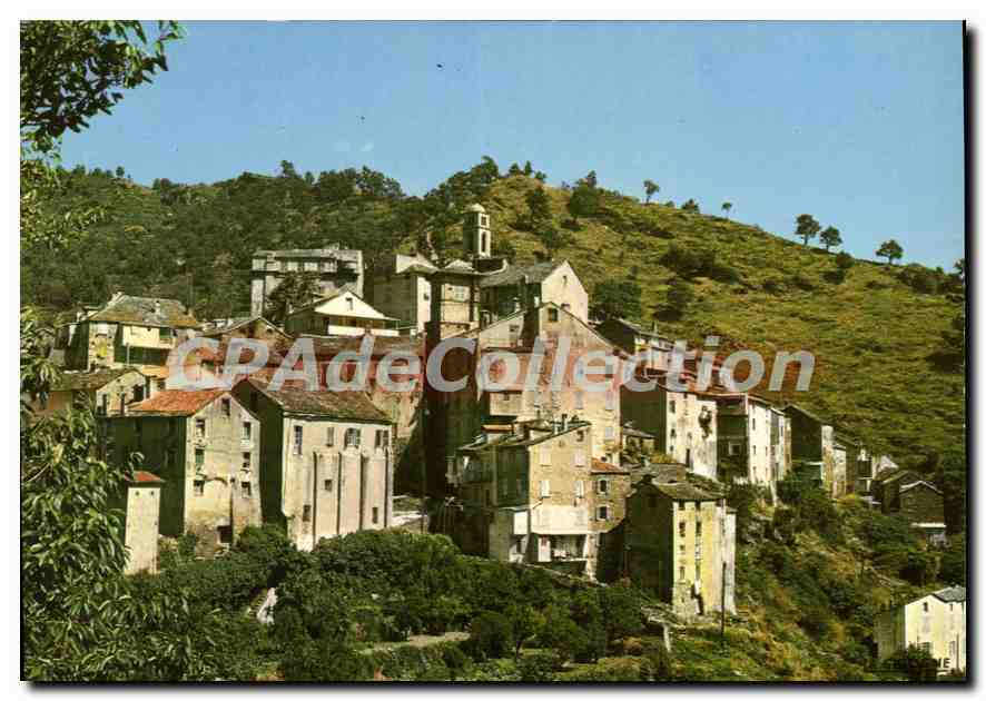 Vescovato (Corse) — Vue partielle — Editions LA CIGOGNE