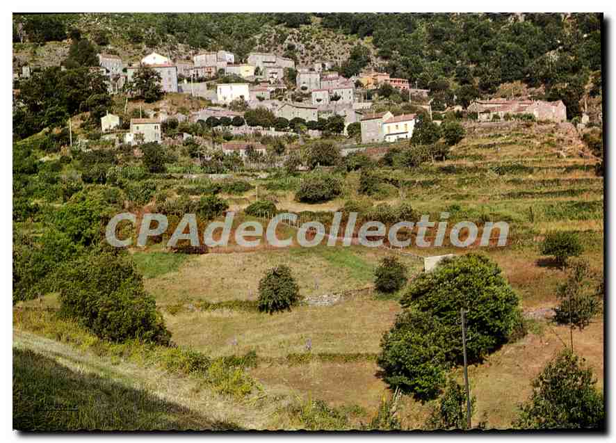 Zicavo (Corse) — Vue partielle — Editions La Cigogne, Ajaccio