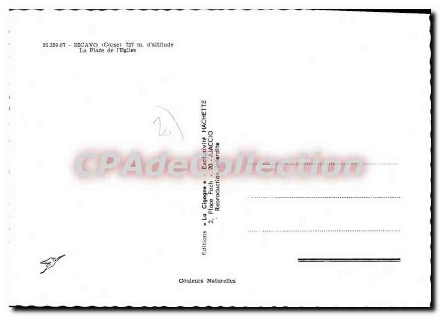 CPA Zicavo La Place De I'Eglise — Verso