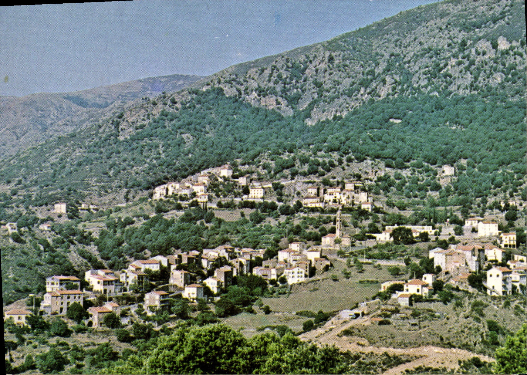 Village de Moltifao — vue générale — Société d'Agences de Diffusion Moltifao