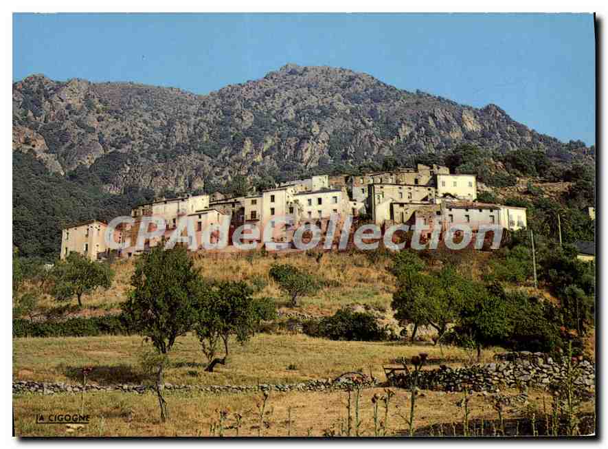 La Cigogne — Vue partielle du village de Moltifao — Editions Vitullios 20178