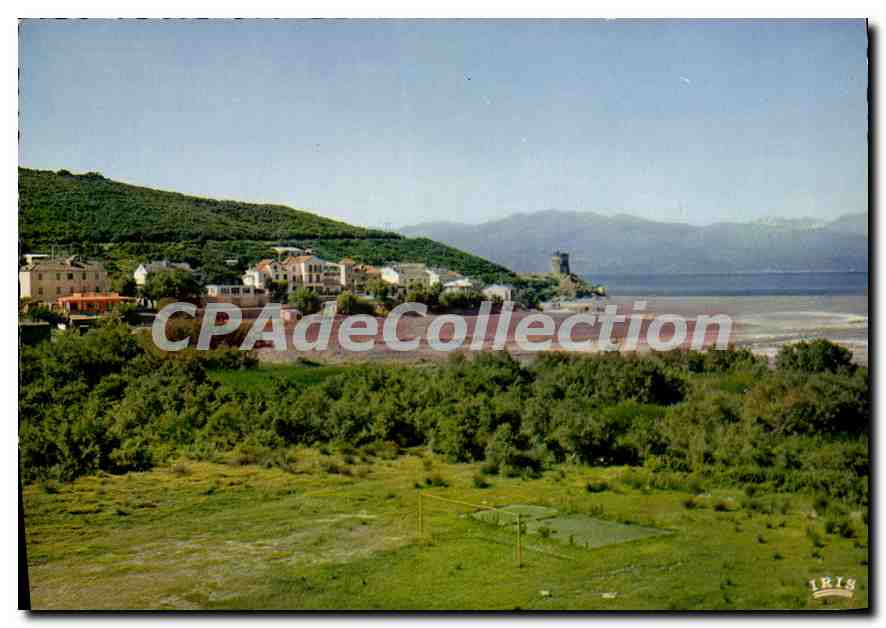 CPSM La Marine D'Albo Charmes Et Couleurs De La Corse