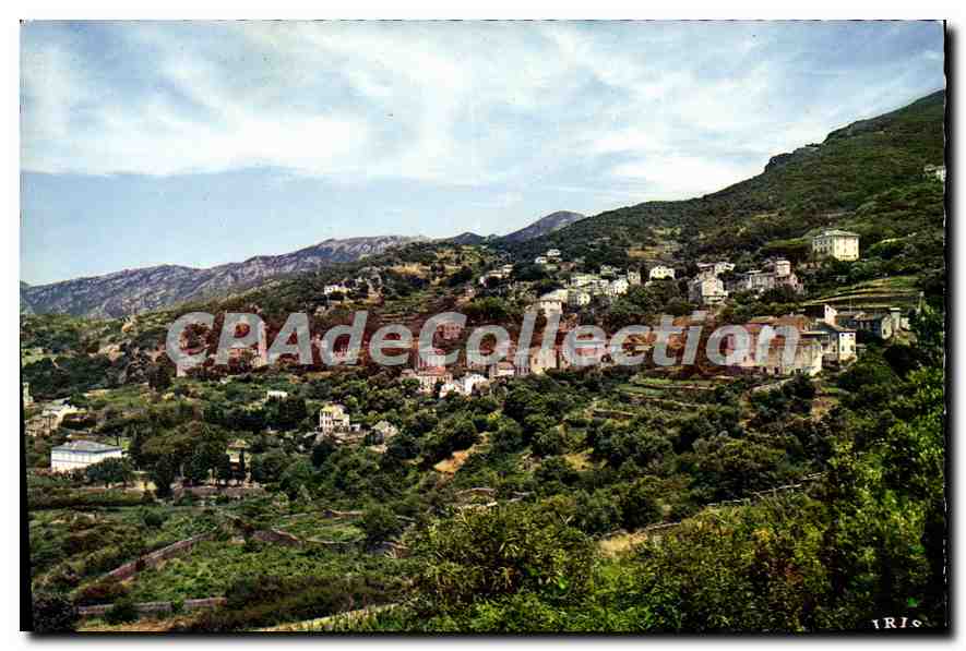 Pino (Cap Corse) — Vue générale — Editions Mexichrome