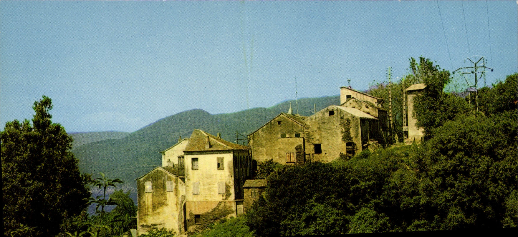 Pino - Corse — vue des maisons anciennes sur colline — éditeur S.A.D. De Gorgans