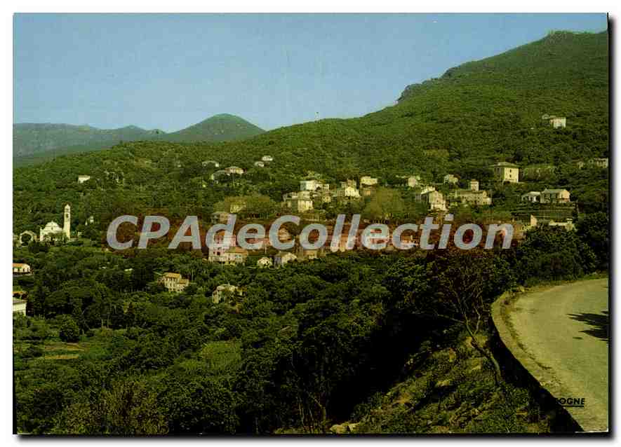 CPSM Charmes Et Couleurs De La Corse Pino