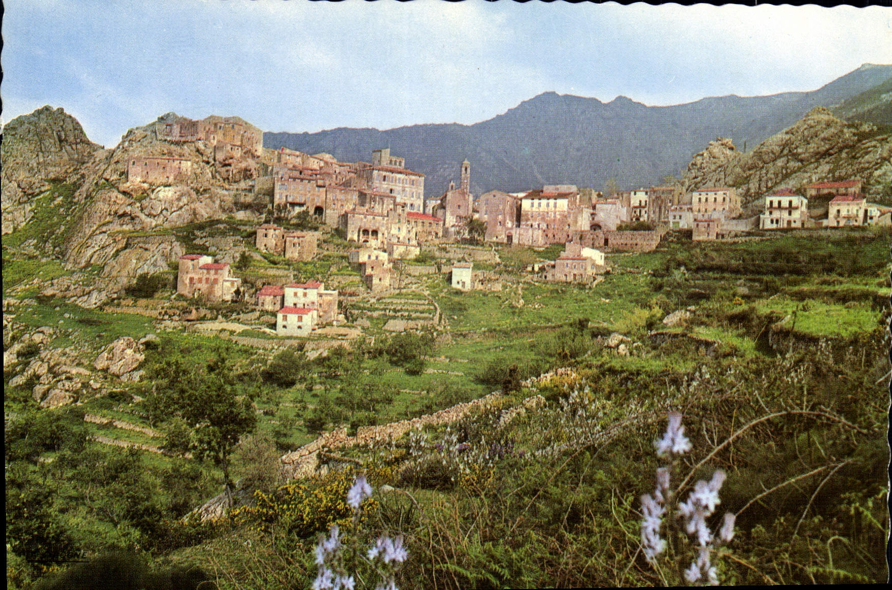 Speluncato (Corse) — Vue partielle du village — Éditions Naturelles