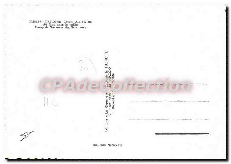 CPSM Tattone Camp De Vacances Des Eclaireurs — Verso
