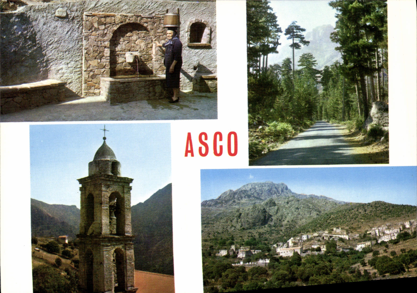 Asco — Vue générale, la fontaine, le clocher, la forêt — Libre Service Vesperini