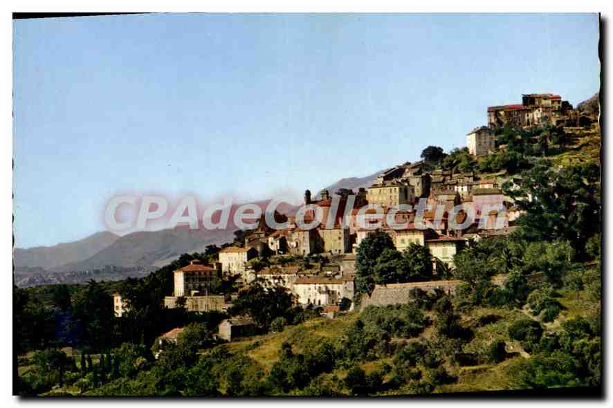 CPSM Oletta Vue Generale