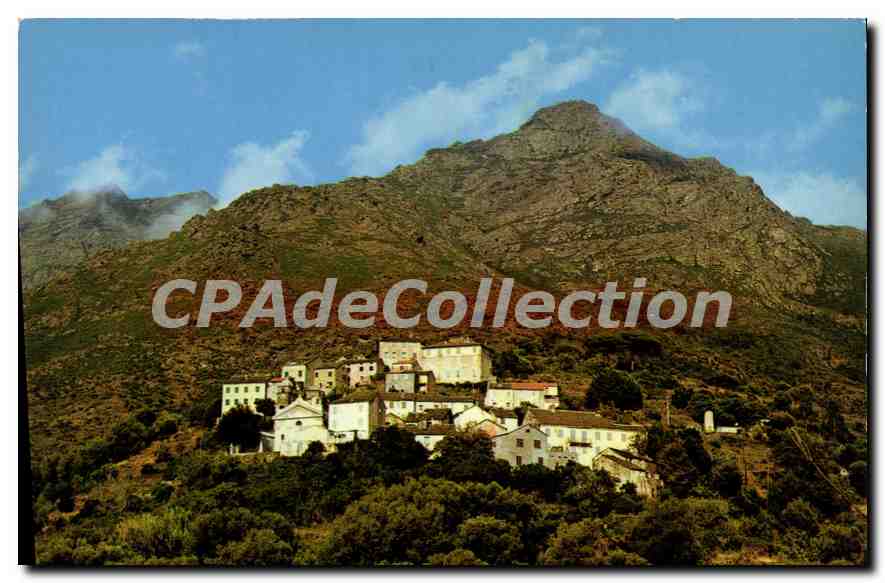 CPSM Ogliastro Vue Generale