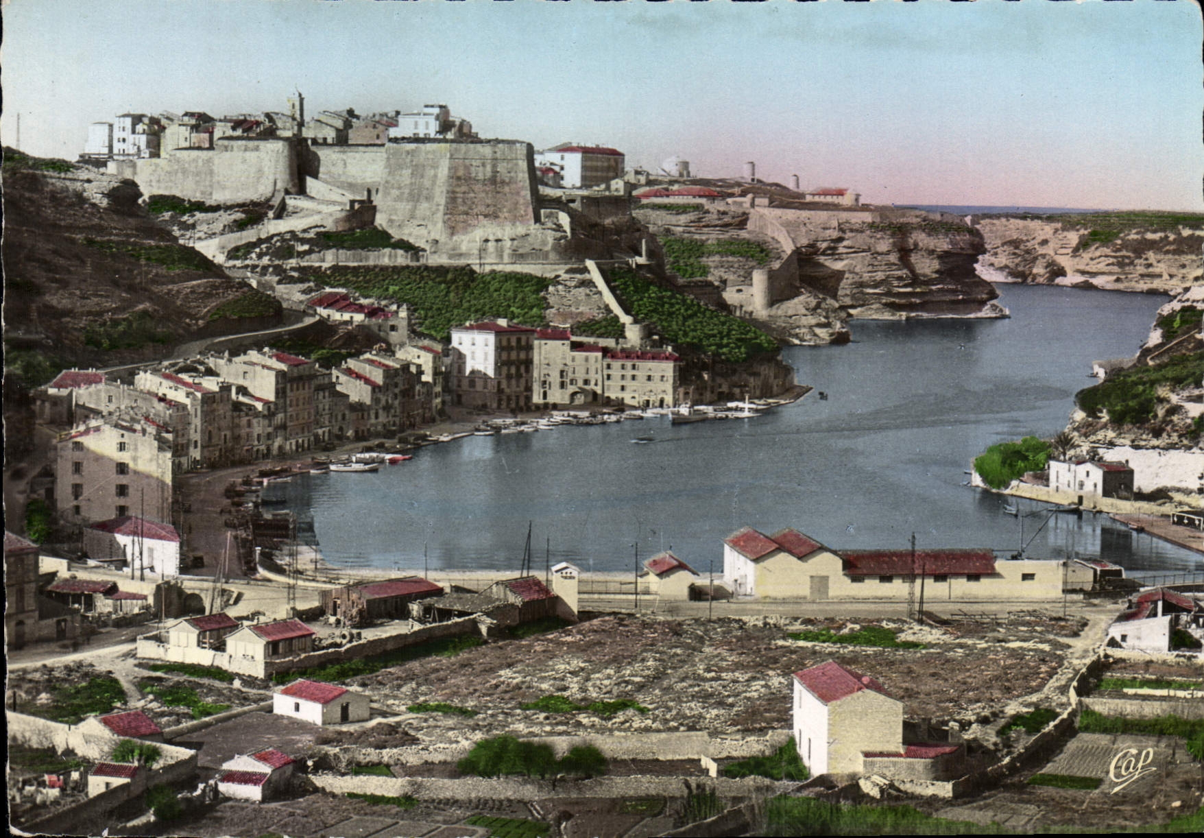 CPSM Bonifacio La Marine Et La Haute Ville