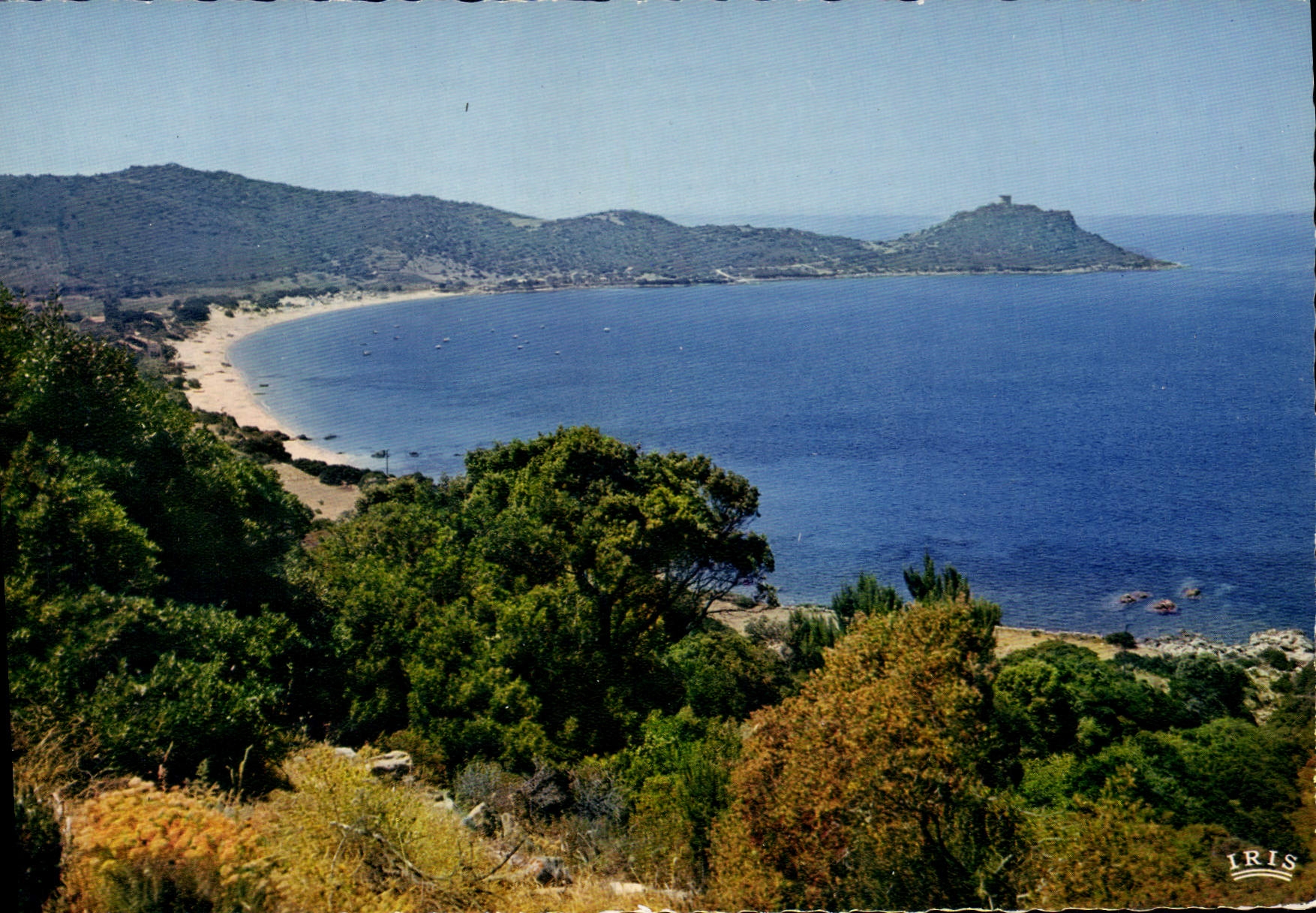 CPSM Campomoro Et Son Golfe Admirable