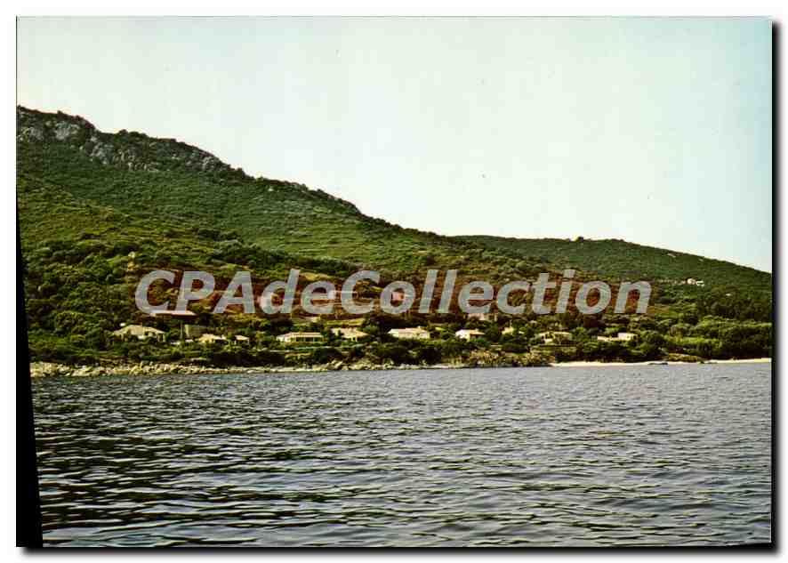 CPSM Charmes Et Couleurs De La Corse Campomoro