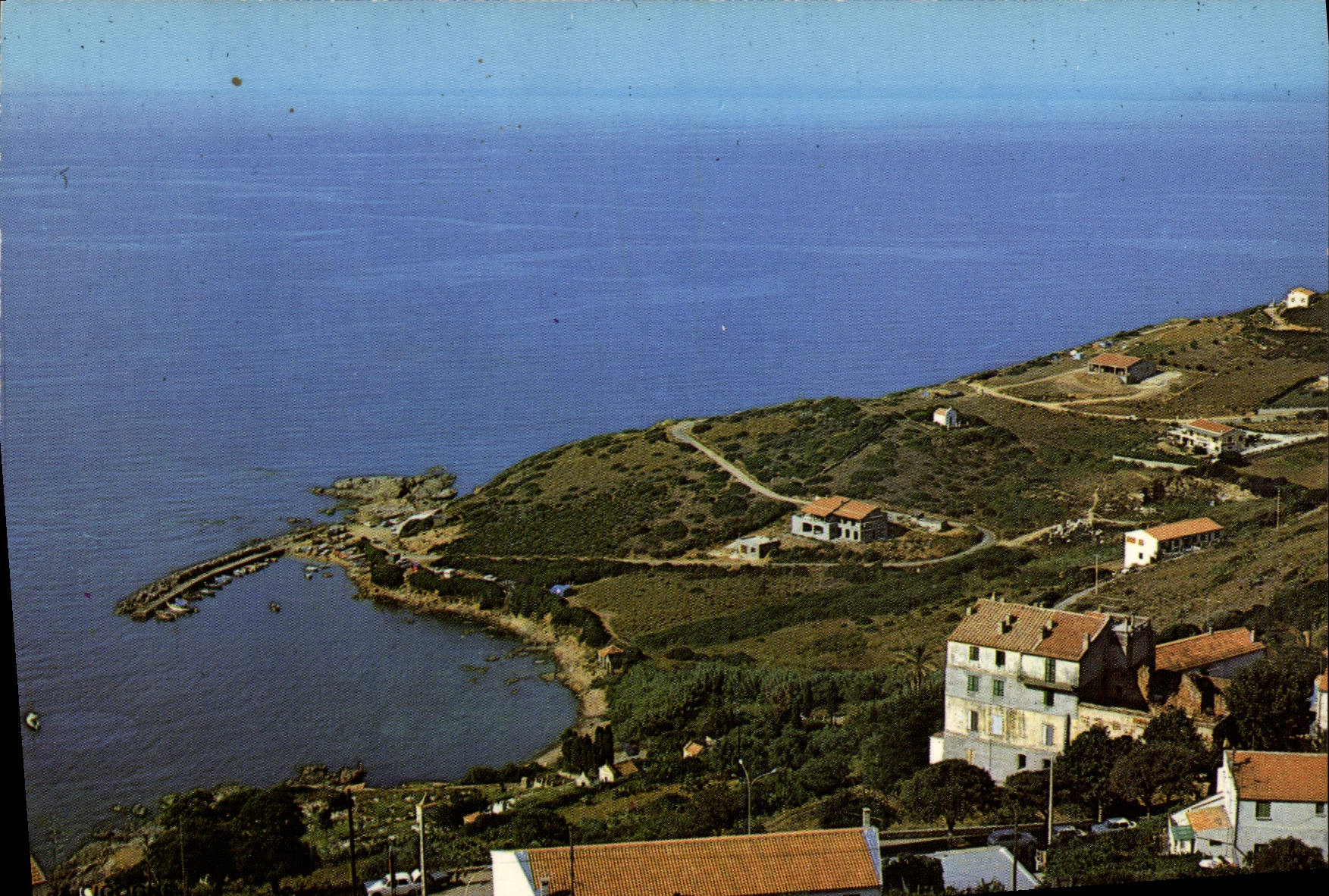 CPSM Le Port De Cargese