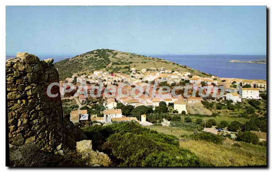 CPSM Cargese Vue Generale