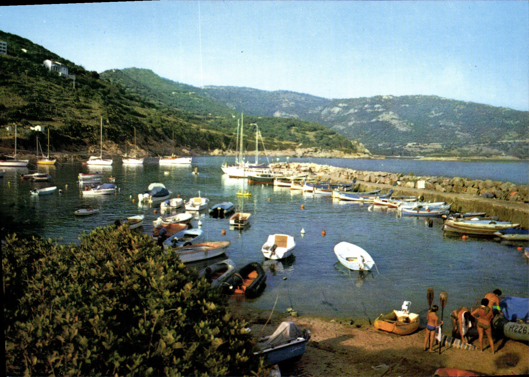 CPSM Cargese Le Port De Plaisance
